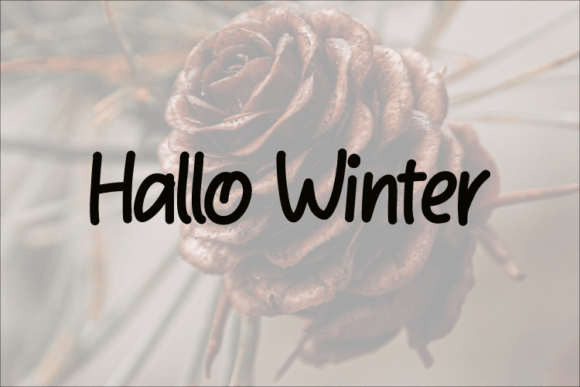 Halloon Winter: A Warm Script Font for Handmade Creators