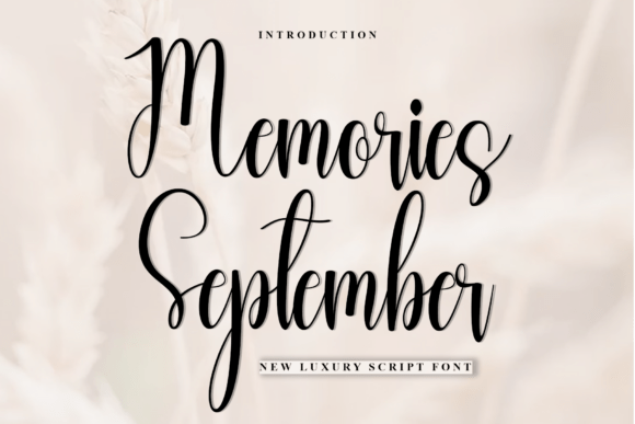 Memories September: A Font That Speaks to Your Brand
